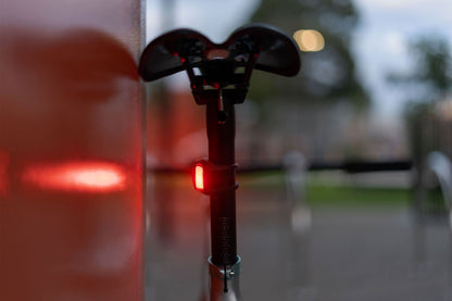 Frog Bike Light Set